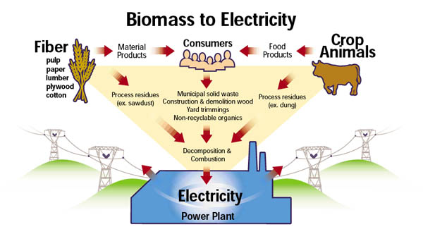 Used Biomass Power Plants